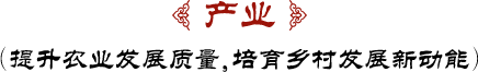 鄉(xiāng)村振興戰(zhàn)略舉措之一產(chǎn)業(yè)