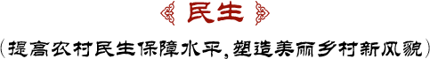 鄉(xiāng)村振興戰(zhàn)略舉措之民生