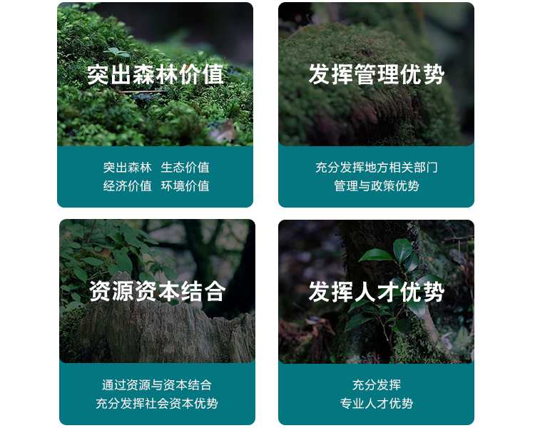 森林鄉(xiāng)村,鄉(xiāng)村振興