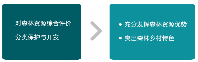 森林鄉(xiāng)村,鄉(xiāng)村振興