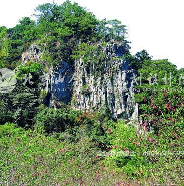 森林公園也能生態(tài)采摘