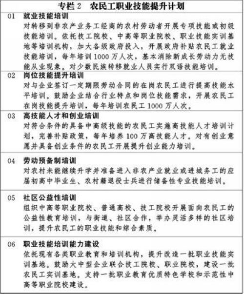  農民工職業(yè)技能提升計劃