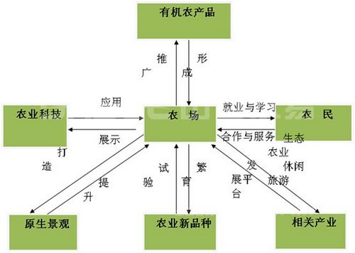 對外產(chǎn)業(yè)交流方式