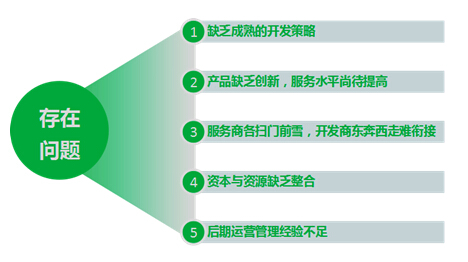 圖2.1  農(nóng)業(yè)莊園開發(fā)存在問題