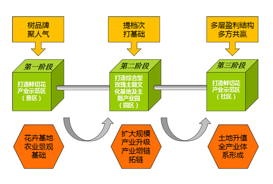 圖3.4  項(xiàng)目開發(fā)策略示意圖