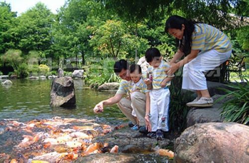 中國臺灣休閑農(nóng)業(yè)園一景