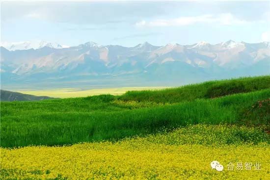 鄉(xiāng)村旅游土地如何統(tǒng)籌利用