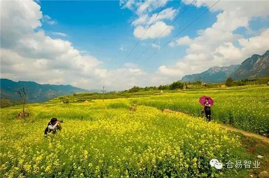 休閑農(nóng)業(yè)開(kāi)發(fā)需注重的十大因素