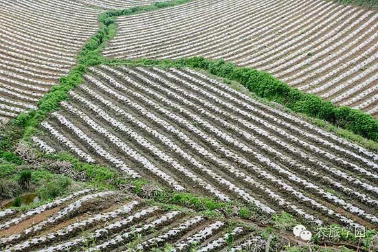 農(nóng)村土地確權(quán)后農(nóng)村土地使用權(quán)多少年