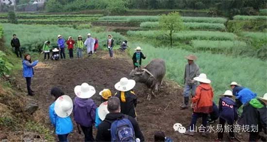 休閑農(nóng)業(yè)+文化，助力鄉(xiāng)村旅游“品味”升級!