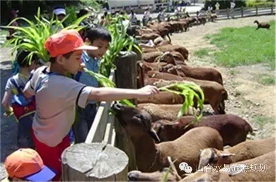 休閑農(nóng)莊靠什么留住游客?