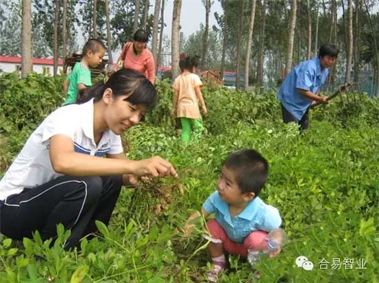 休閑農(nóng)業(yè)項目品質(zhì)提升的秘訣