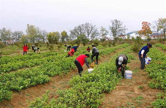 休閑農(nóng)業(yè)投資