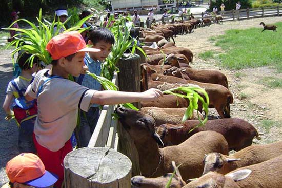 休閑農(nóng)業(yè)投資