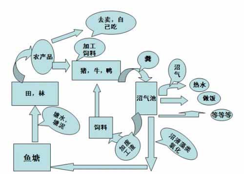 生態(tài)農(nóng)業(yè)