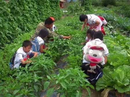 在休閑農(nóng)業(yè)項目中如何植入蔬菜文化