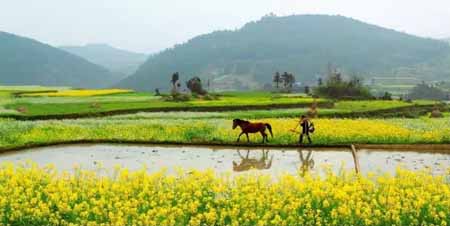 鄉(xiāng)村旅游