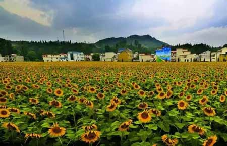 4.0時(shí)代鄉(xiāng)村旅游怎么做