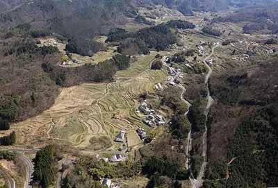 日本大叔進(jìn)深山5年，梯田恢復(fù)數(shù)量高達(dá)1600塊!