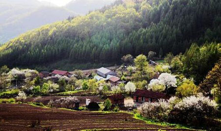 中國鄉(xiāng)村有未來最稀缺的旅游資源