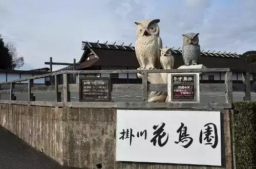 掛川花鳥園