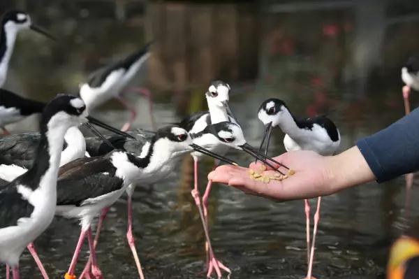 掛川花鳥園