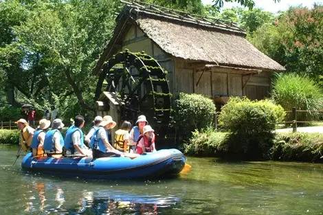 大王山葵農(nóng)場