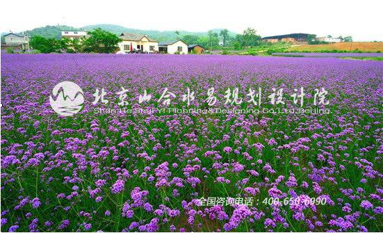 四川綿陽?國際香草莊園