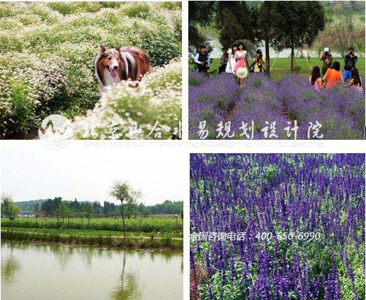 四川綿陽?國際香草莊園