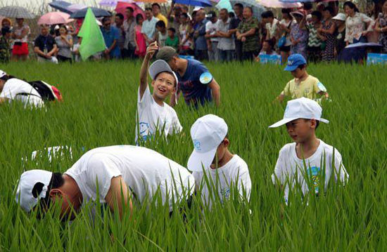 鶴山坪雨仙湖生態(tài)農(nóng)谷