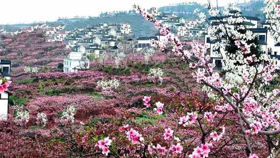 旅游小鎮(zhèn)規(guī)劃策劃