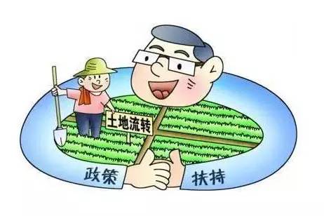 農(nóng)業(yè)扶持補貼政策