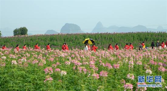 春節(jié)期間全國共接待游客3.44億人次，全域旅游引領(lǐng)旅游供給