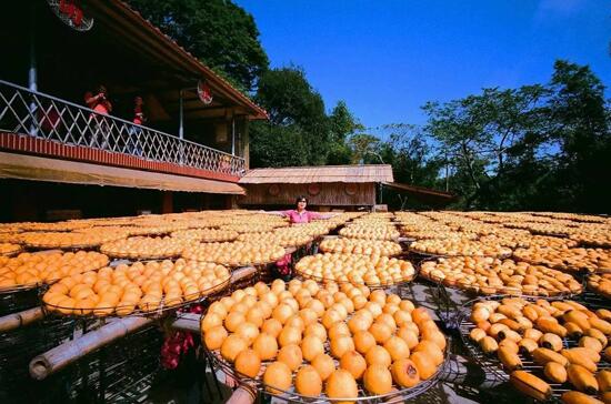 休閑農(nóng)業(yè)規(guī)劃,農(nóng)業(yè)旅游規(guī)劃,田園綜合體規(guī)劃