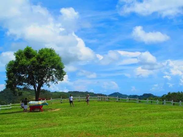 休閑農(nóng)業(yè)規(guī)劃,農(nóng)業(yè)旅游規(guī)劃,田園綜合體規(guī)劃