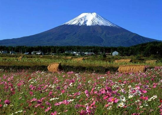 箱根牧場