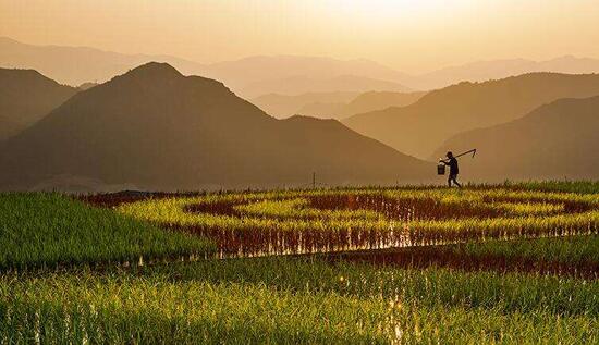 休閑農(nóng)業(yè)規(guī)劃,農(nóng)業(yè)旅游規(guī)劃,田園綜合體規(guī)劃