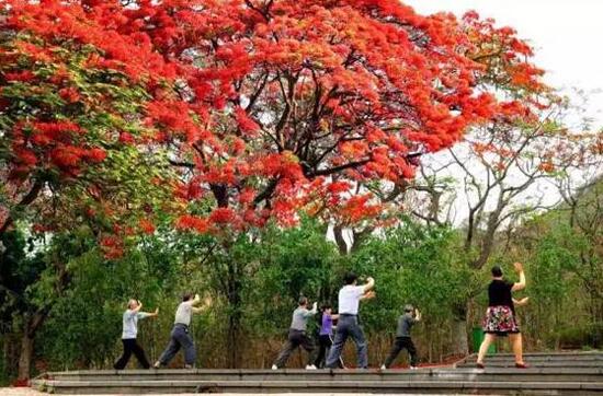 旅游業(yè)發(fā)展的重要方向：康養(yǎng)旅游