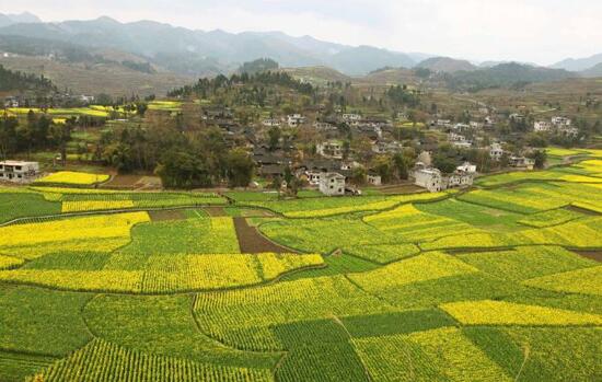 建設(shè)田園綜合體的宜與不宜