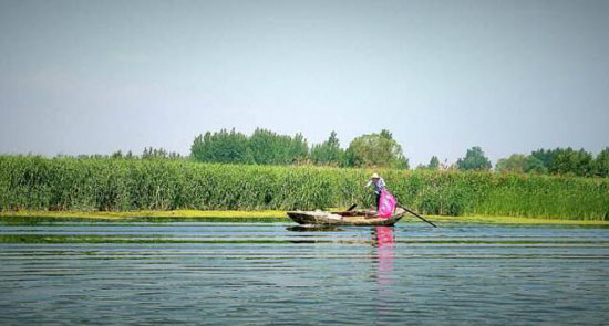 美麗鄉(xiāng)村規(guī)劃,美麗鄉(xiāng)村設(shè)計(jì),鄉(xiāng)村旅游規(guī)劃,鄉(xiāng)村旅游設(shè)計(jì)